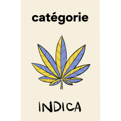 Catégorie Indica CBD