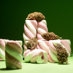 Fleurs de CBD posées sur des guimauves