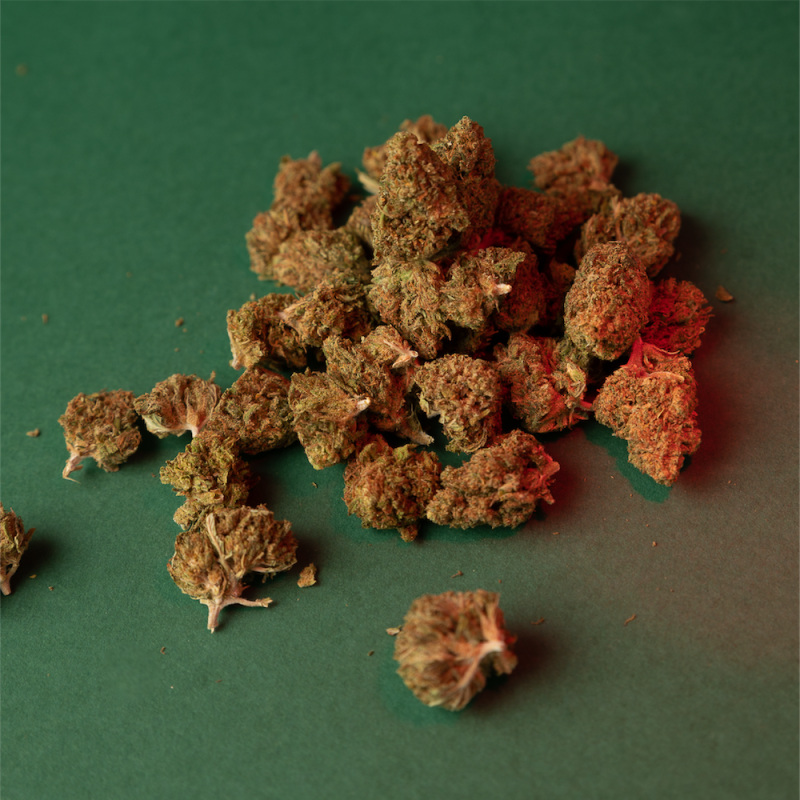 Petites fleurs de CBD sur fond vert foncé