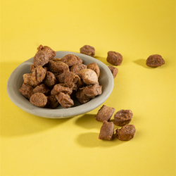 Friandises de CBD pour chiens dans un petit bol sur fond jaune