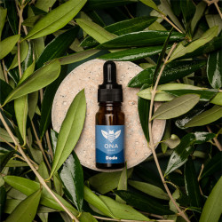 Flacon d'huile de CBD entourée de plantes