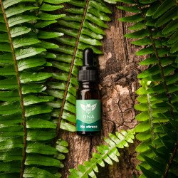 Flacon d'huile de CBD sur du bois entourée de plantes