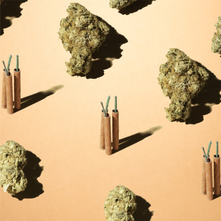 Fleurs de CBD sur surface jaune avec des pétards