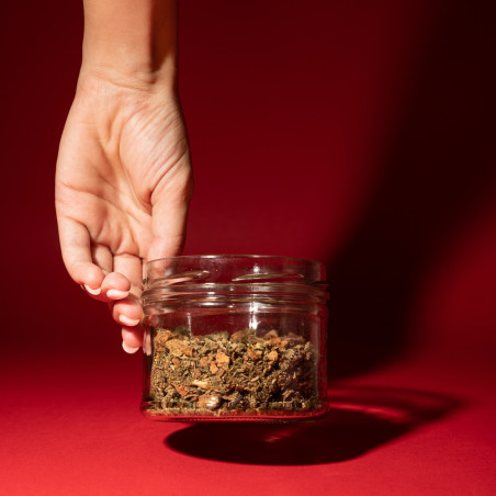 Main tenant un bocal en vert de fleurs de CBD sur fond rouge