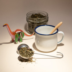 Fleurs de CBD dans boule à infusion à côté d'une tasse sur fond beige