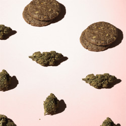 Fleurs de CBD posées sur une surface rosée et entourée de petits biscuits