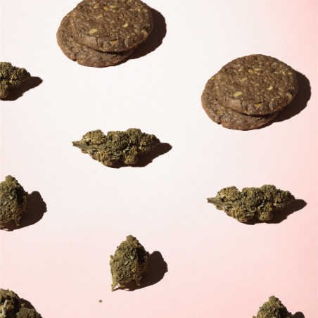 Fleurs de CBD posées sur une surface rosée et entourée de petits biscuits