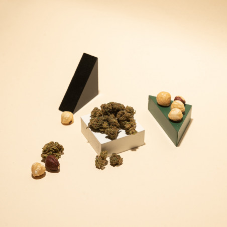 Fleurs de CBD avec des noisettes et des figures géométriques