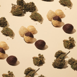 Fleurs de CBD avec des noisettes