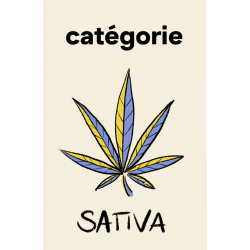 Catégorie Sativa CBD