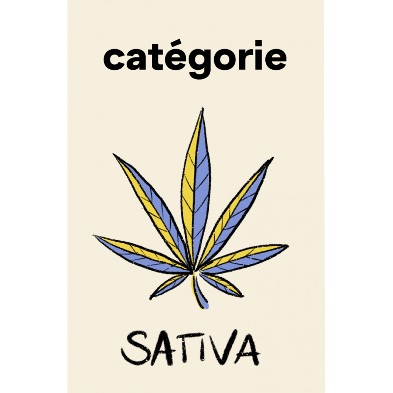 Catégorie Sativa CBD