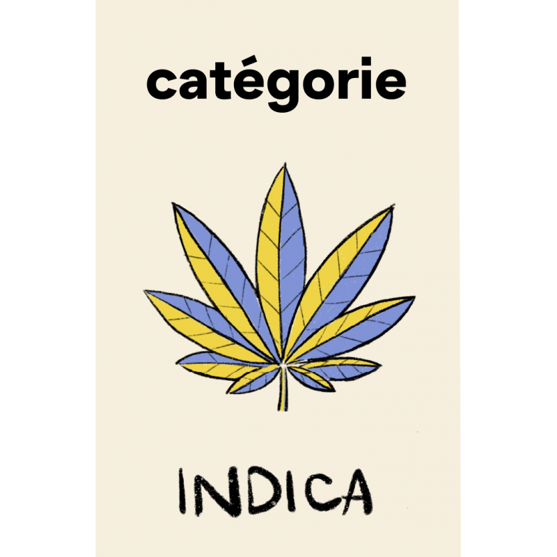 Catégorie Indica CBD
