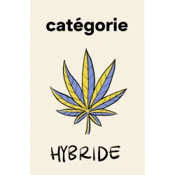 hybride