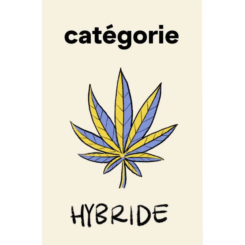 hybride